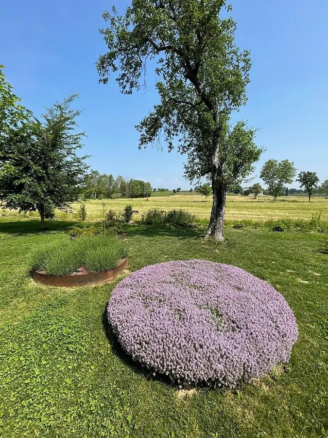 Agriturismo Redo Ponti sul Mincio