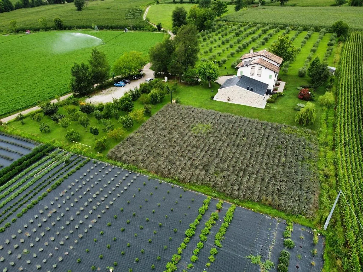 Agriturismo Redo Ponti sul Mincio Séjour à la ferme