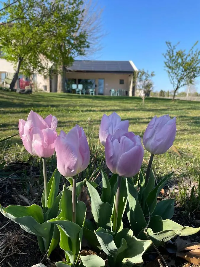 Agriturismo Redo Ponti sul Mincio