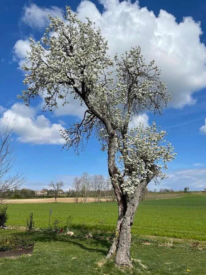 ポンティ・スル・ミンチョ Agriturismo Redoヴィラ イタリア