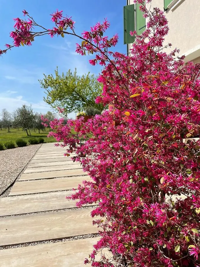 ポンティ・スル・ミンチョ Agriturismo Redoヴィラ 0*,  イタリア